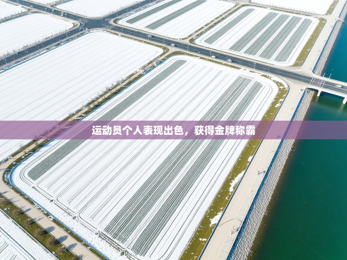 运动员个人表现出色，获得金牌称霸  第2张