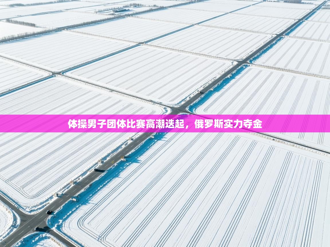 体操男子团体比赛高潮迭起,俄罗斯实力夺金 第1张