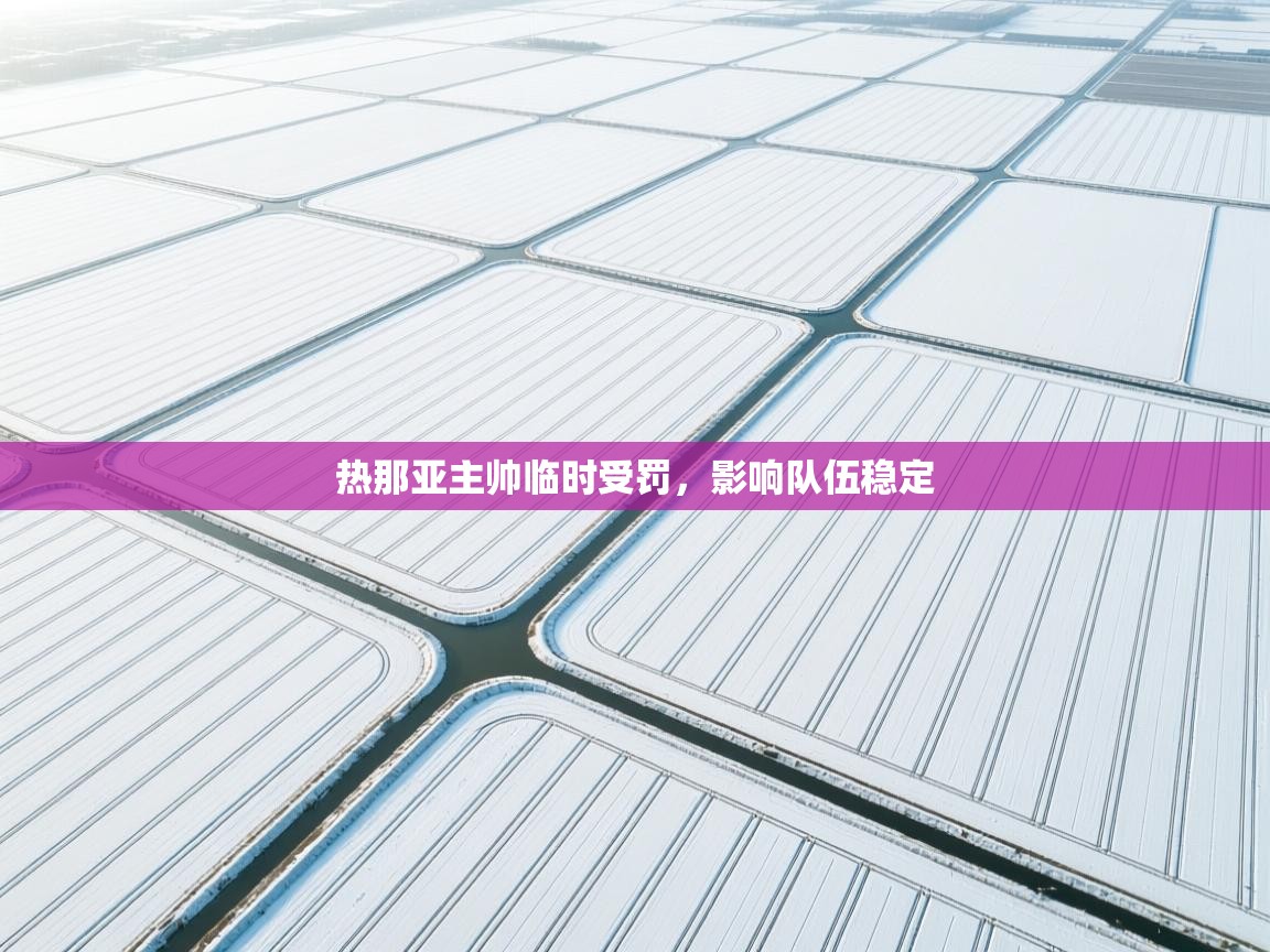 热那亚主帅临时受罚,影响队伍稳定 第2张