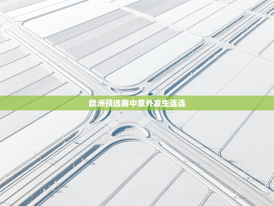 欧洲预选赛中意外发生连连  第2张