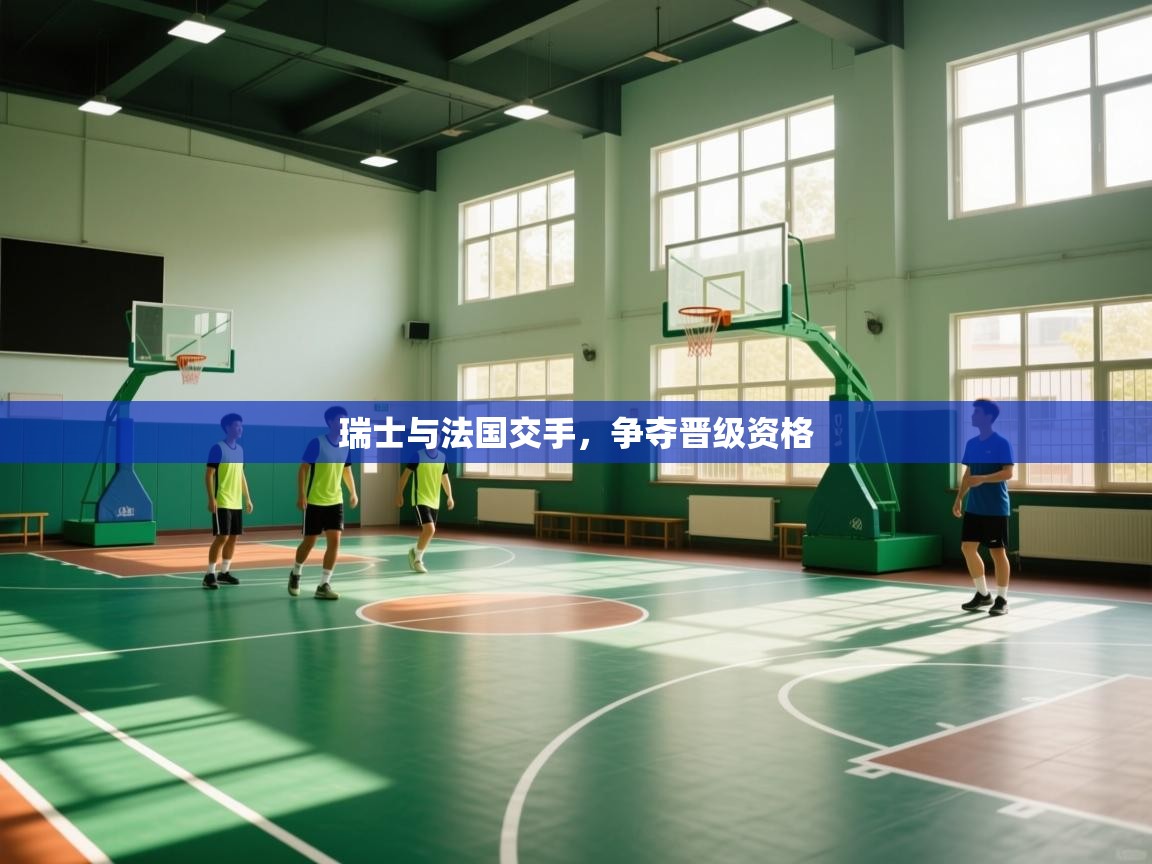 瑞士与法国交手，争夺晋级资格  第2张